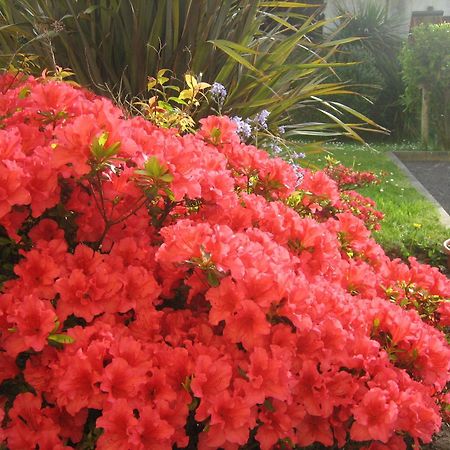 Liosderrig House B&B Glenbeigh Luaran gambar
