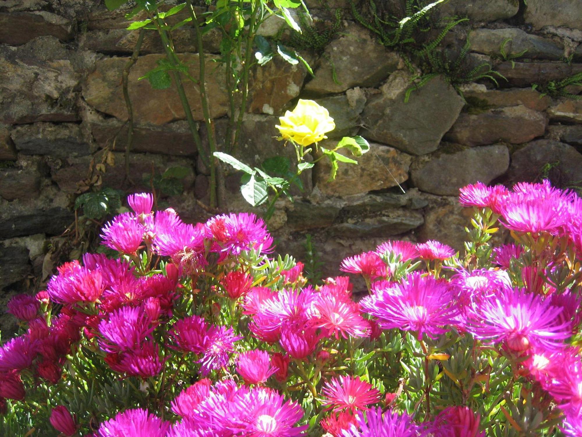 Liosderrig House B&B Glenbeigh Luaran gambar
