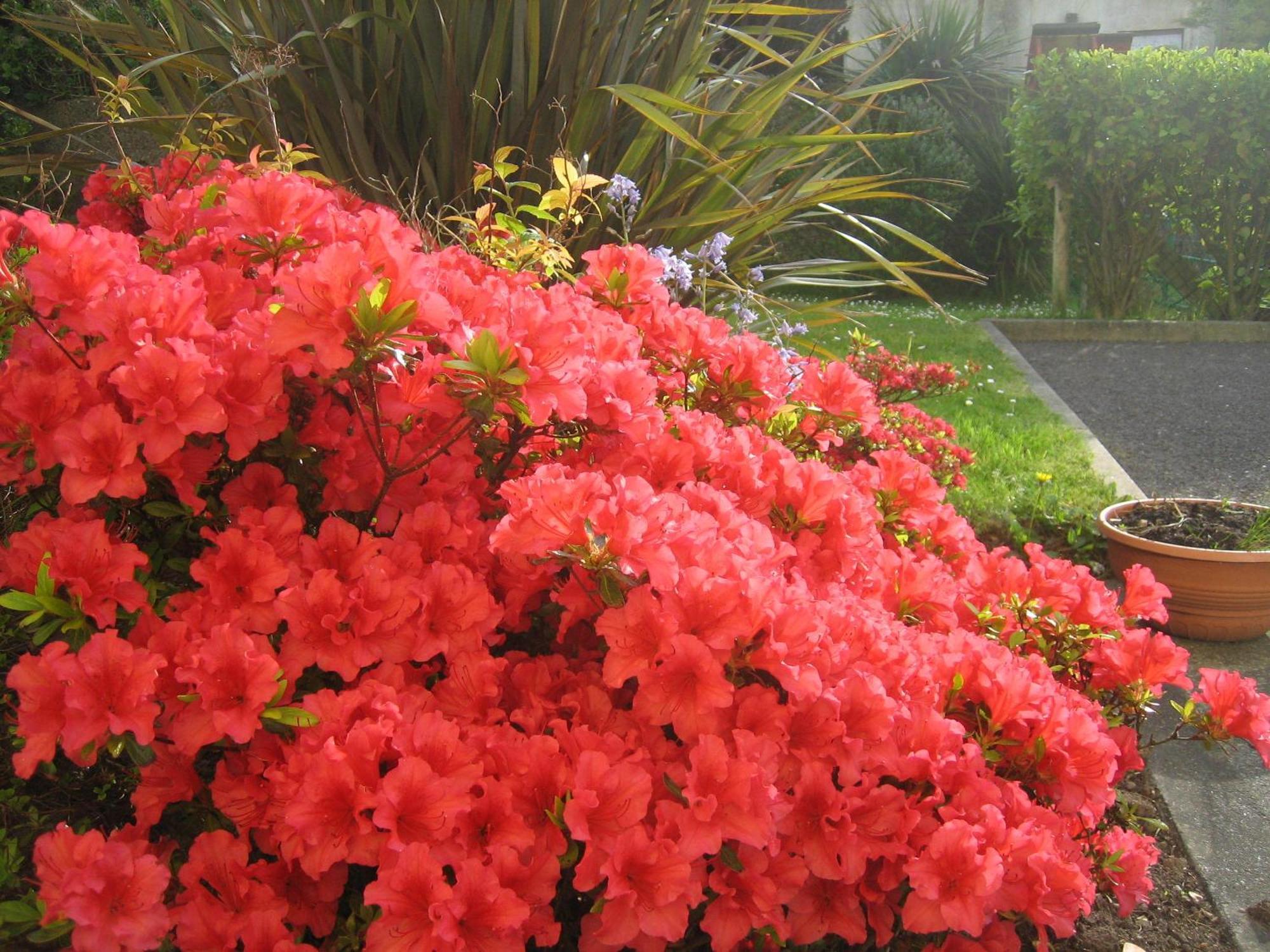 Liosderrig House B&B Glenbeigh Luaran gambar