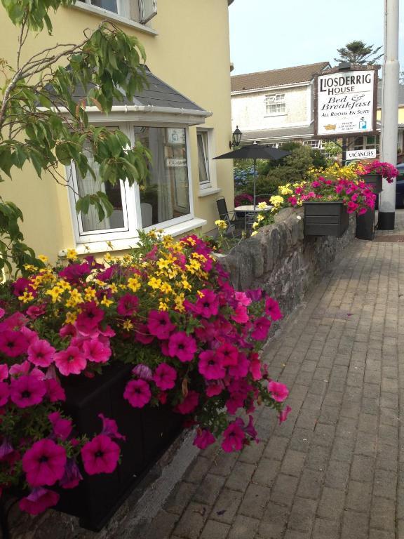 Liosderrig House B&B Glenbeigh Luaran gambar